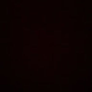 Meet your Posher, Bryce